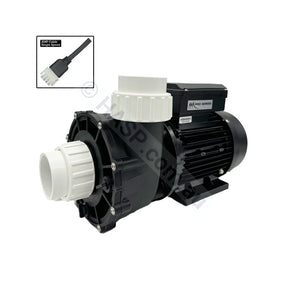 LX Pro Series LP200 2hp Single Speed Pump