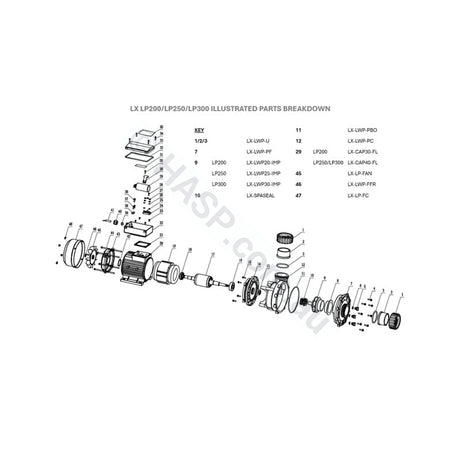 LX Pro Series LP300 3hp Single Speed Pump