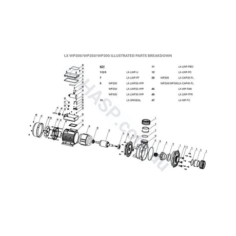 LX Pro Series WP200 2hp Two Speed Pump