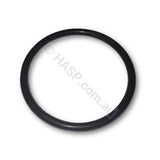 LX SpaNet Davey QB Aquaflo Union O-ring - ~70mm Diameter - o-rings