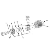 LX Whirlpool LP/WP - Davey QB - SpaNET XS - Jet Pump Drain & Bleed Plug - Heater and Spa Parts