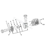 LX Whirlpool LP/WP - Davey QB - SpaNET XS - Jet Pump Drain & Bleed Plug - Heater and Spa Parts