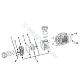 LX Whirlpool LP/WP - Davey QB - SpaNET XS - Jet Pump Drain & Bleed Plug - Heater and Spa Parts