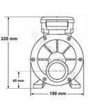 LX Whirlpool TDA 200 2.0HP Spa Jet & Circulation Pump - TDA200 Pump