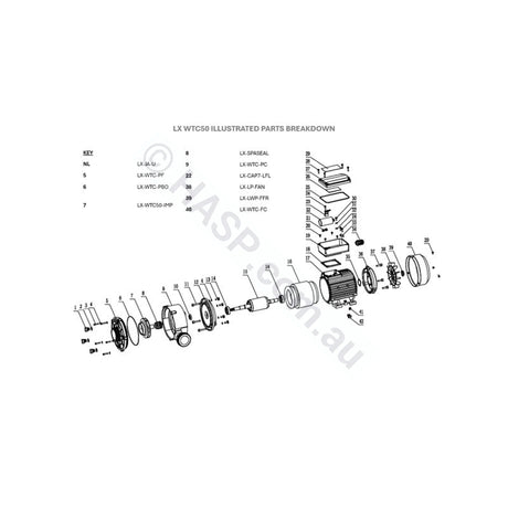 LX WTC50m / Spatex SXC35 Wet End Complete - Pump Parts