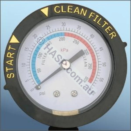 Madimack / Onga / Emaux Galaxy Elite Clear Cartridge Filter