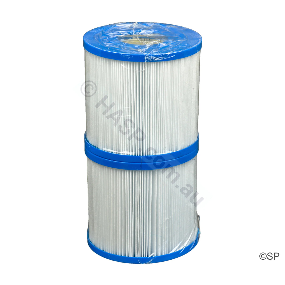 Spatex MWW35D Waterway DSF 35 / Rainbow RDC 10 Filter Cartridge Pair - 817-3510