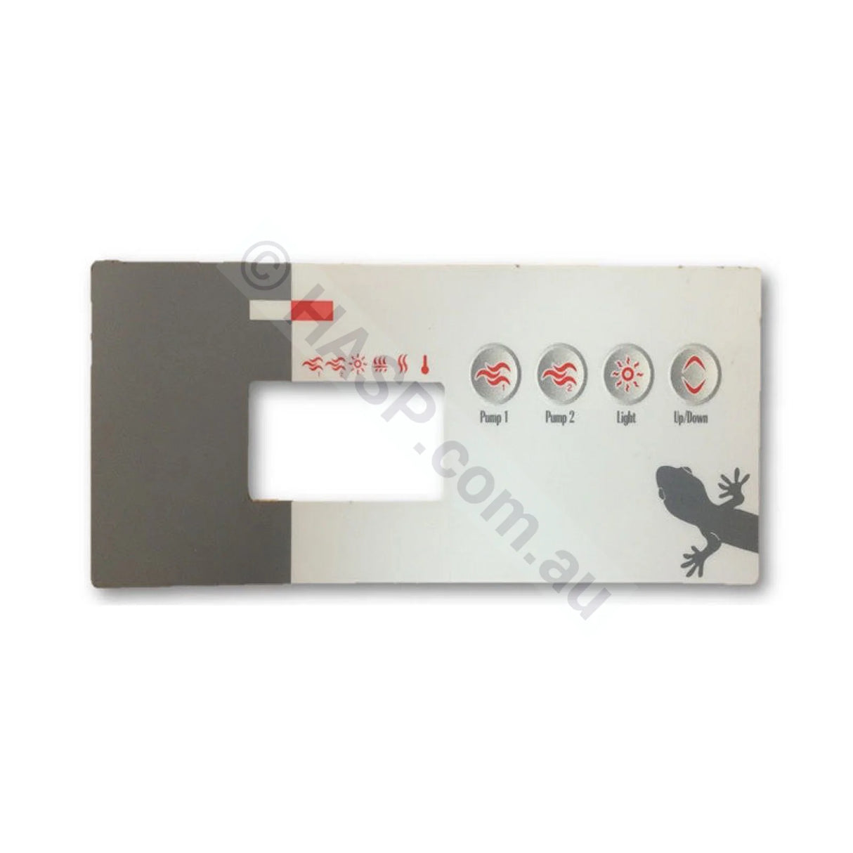 *NLA* OVERLAY: TSC-19 P,P,L,T