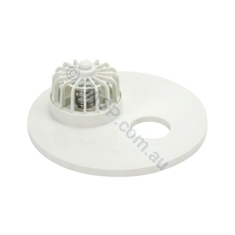 *NLA* - Waterco Paramount Skimtrol plate