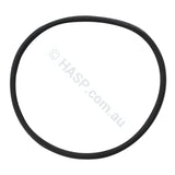 Dega / Quiptron / Onga Filter Lid O-Ring Gasket - Heater and Spa Parts