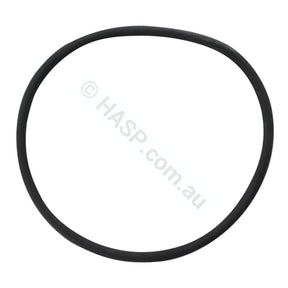 Dega / Quiptron / Onga Filter Lid O-Ring Gasket - Heater and Spa Parts