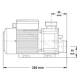 LX Whirlpool TDA 100 1.0HP Spa Jet & Circulation Pump - DXD 310 Repalcement Pump