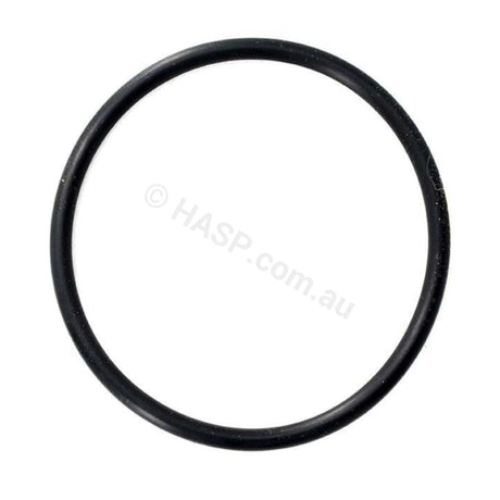 Astralpool Chlorinator Chlorinator O-Ring - 65mm tails - Heater and Spa Parts