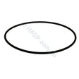 O-ring for Davey Spa-Quip SpaPower 500 / Classic Heater Element - Heater and Spa Parts