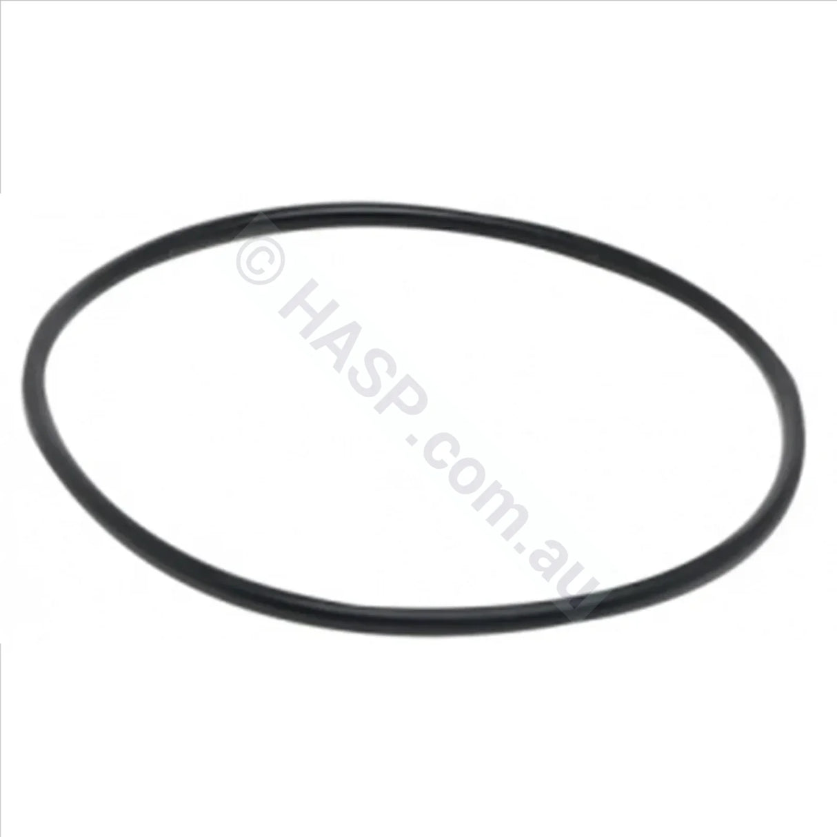 Poolrite, Enduro Cartridge Filter Lid Locking Band O-Ring – Pool Shop - Foto 9