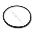 O’RING: Rainbow Filter Lid