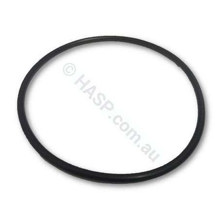 O’RING: Rainbow Filter Lid