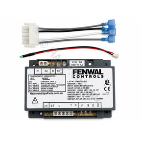 Pentair Mastertemp Ignition Module - Replaces old and current style - Genuine