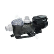 Pentair Pantera Evolution 950W 2 Speed Pool Pump