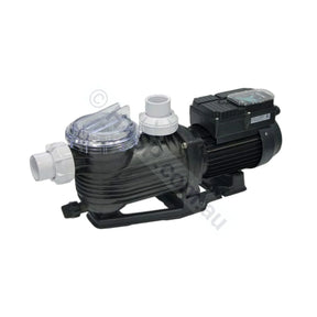 Pentair Pantera Evolution 950W 2 Speed Pool Pump