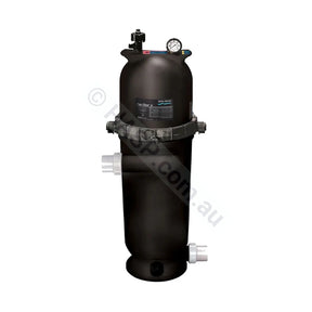 Pentair Posi-Clear RP100 Cartridge Filter Complete