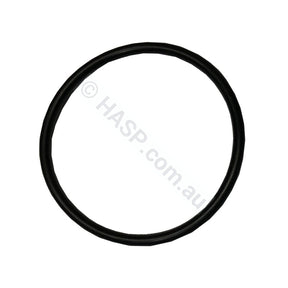 Pulsar/2095 element O’ring