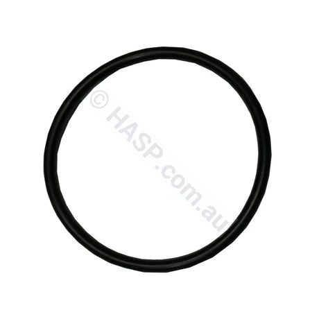 Pulsar/2095 element O’ring