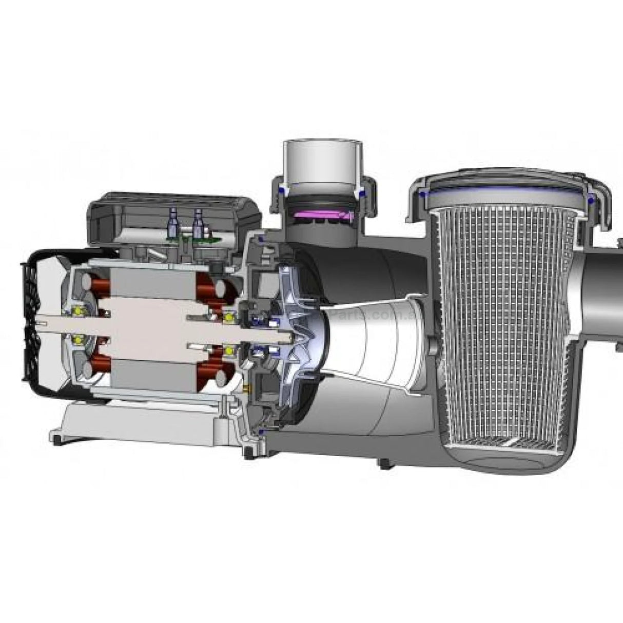 Pulse Pool Pump 11 - 1.5HP - Edgetec - Heater and Spa Parts