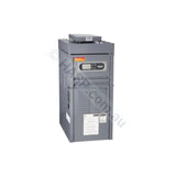 Raypak 167 Premium Gas Spa Heaters - Heater and Spa Parts