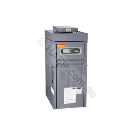 Raypak 167 Premium Gas Spa Heaters - Heater and Spa Parts
