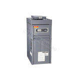 Raypak 167 Premium Gas Spa Heaters - Heater and Spa Parts