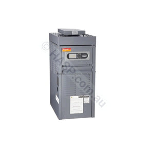 Raypak 167 Premium Gas Spa Heaters - Heater and Spa Parts