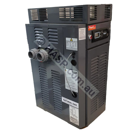 Raypak 200 Gas Pool & Spa Heater