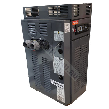 Raypak 200 Gas Pool & Spa Heater