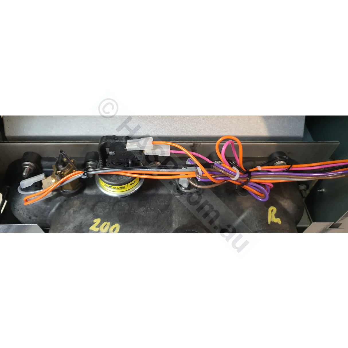 Raypak 200 Gas Pool & Spa Heater - Heater and Spa Parts