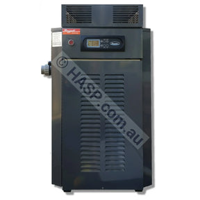 Raypak 280 Gas Pool & Spa Heater