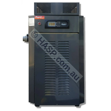 Raypak 280 Gas Pool & Spa Heater