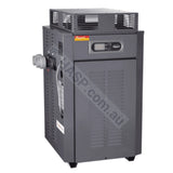 Raypak 280 Gas Pool & Spa Heater