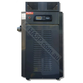 Raypak 280 Gas Pool & Spa Heater
