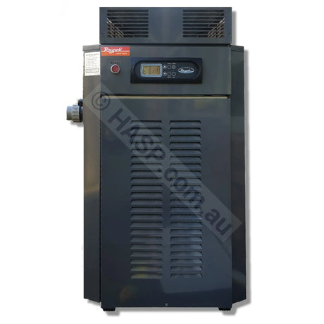 Raypak 280 Gas Pool & Spa Heater