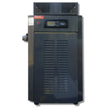 Raypak 280 Gas Pool & Spa Heater - Domestic - Heater and Spa Parts
