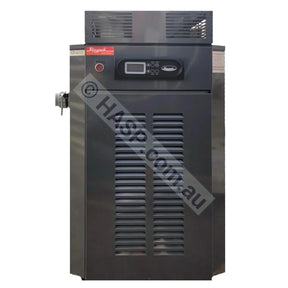 Raypak 350 Gas Pool & Spa Heater