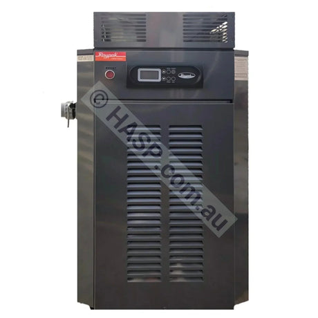 Raypak 350 Gas Pool & Spa Heater