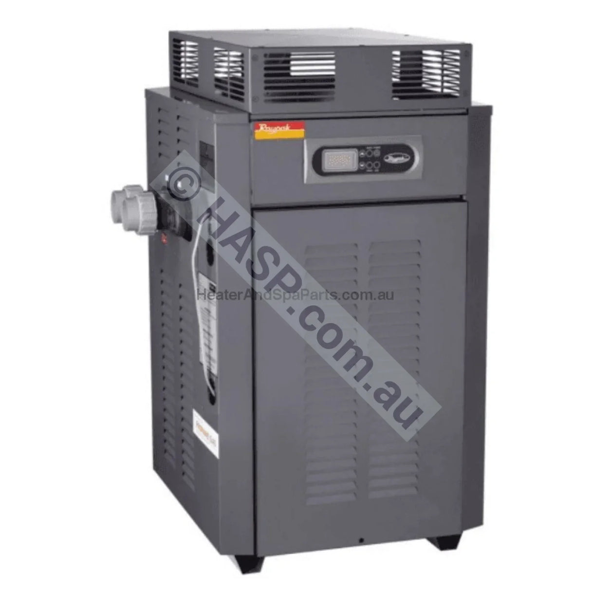 Raypak 350 Gas Pool & Spa Heater