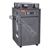Raypak 350 Gas Pool & Spa Heater