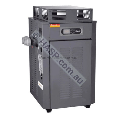 Raypak 350 Gas Pool & Spa Heater