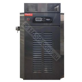 Raypak 350 Gas Pool & Spa Heater