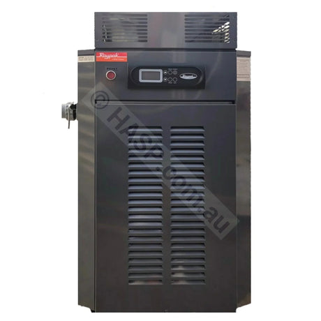 Raypak 350 Gas Pool & Spa Heater