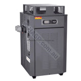 Raypak 350 Gas Pool & Spa Heater