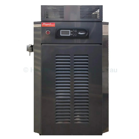 Raypak 350 Gas Pool & Spa Heater - Heater and Spa Parts